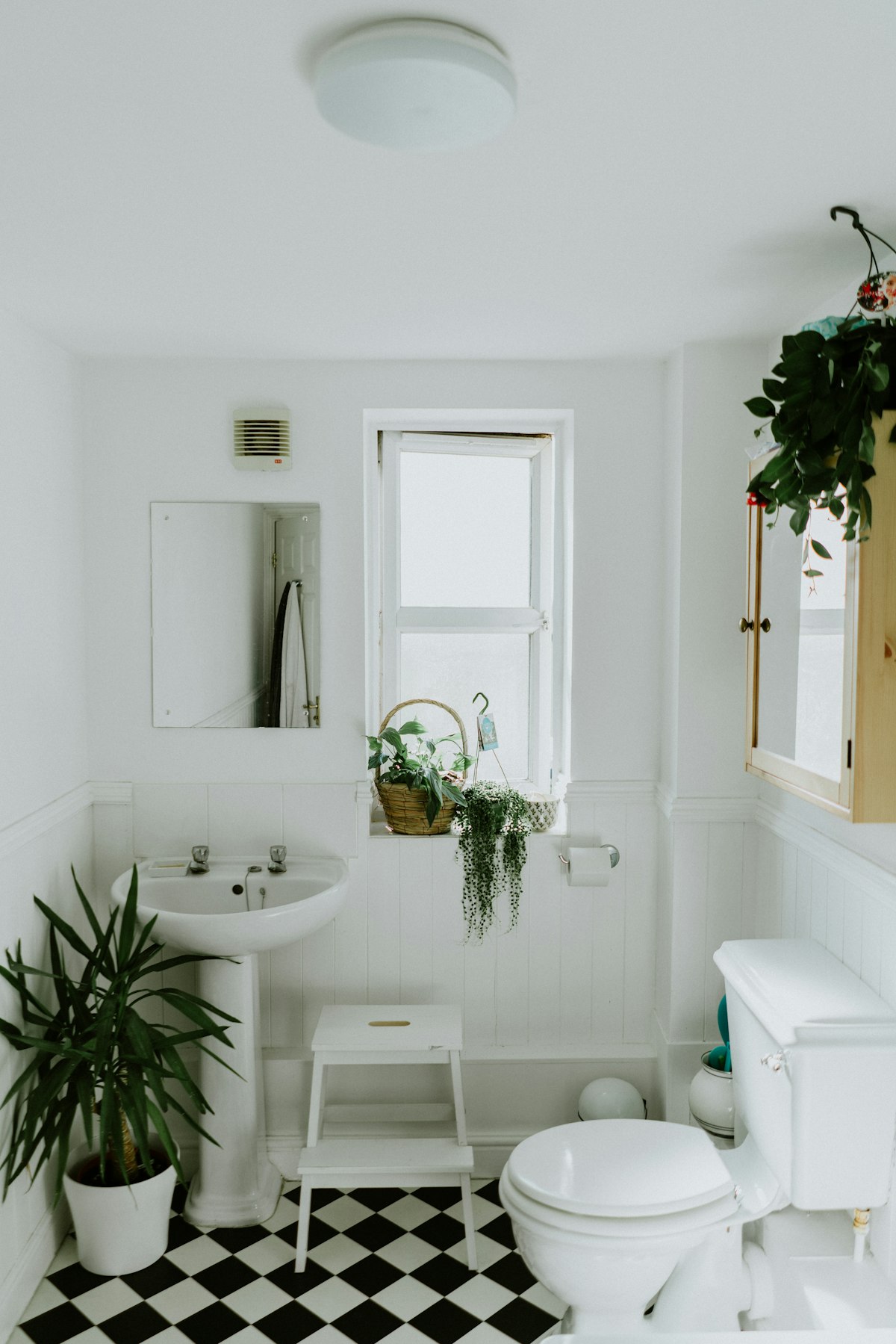 Renovation/Remodeling
